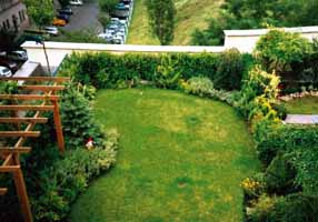 green roof -yard of house