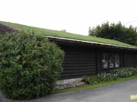 green roof on a small house