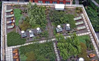 green roof on top of apartments
